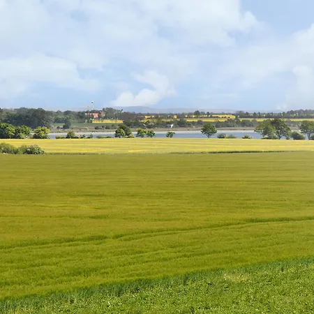 Am Gutspark Drankse Kuestenklee * Dranske