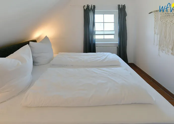 Am Gutspark Drankse Küstenklee *