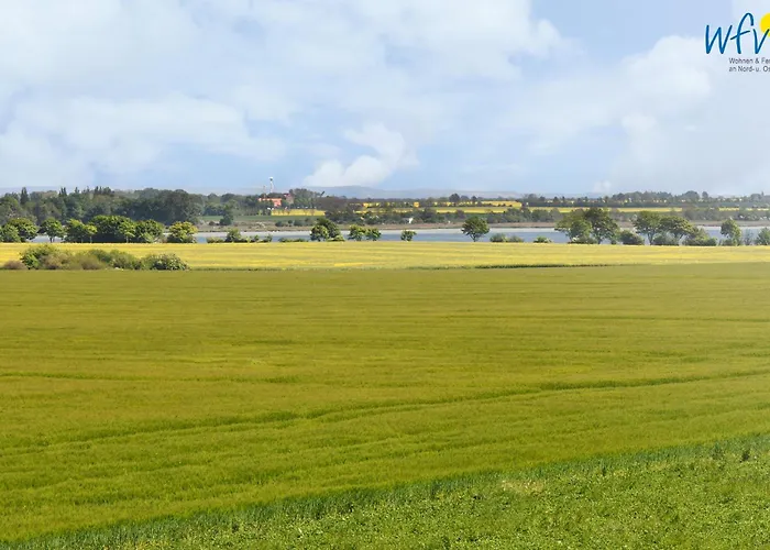 Am Gutspark Drankse Küstenklee * Dranske